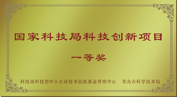 .科技局科技创新项目.等奖